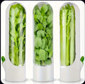 Vegetable Preservation Pod (1/2 Piece)